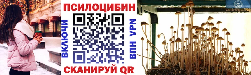 Галлюциногенные грибы GOLDEN TEACHER где купить это наркотические препараты Сыктывкар