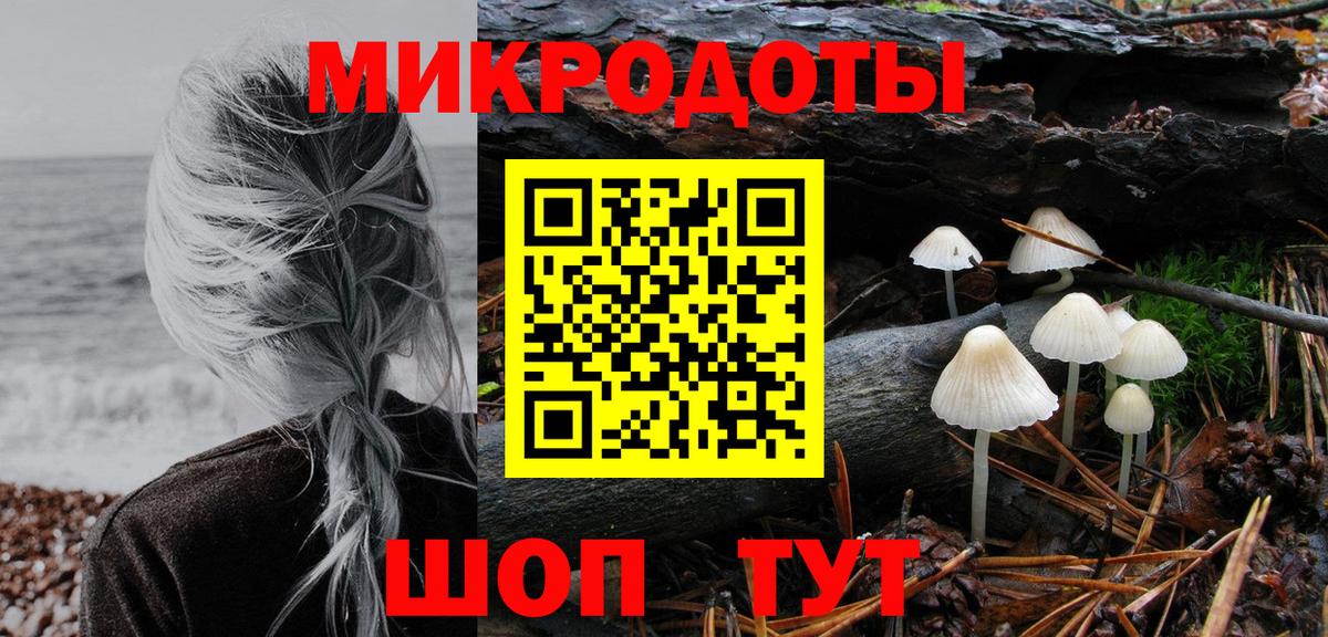Псилоцибиновые грибы мухоморы Сыктывкар