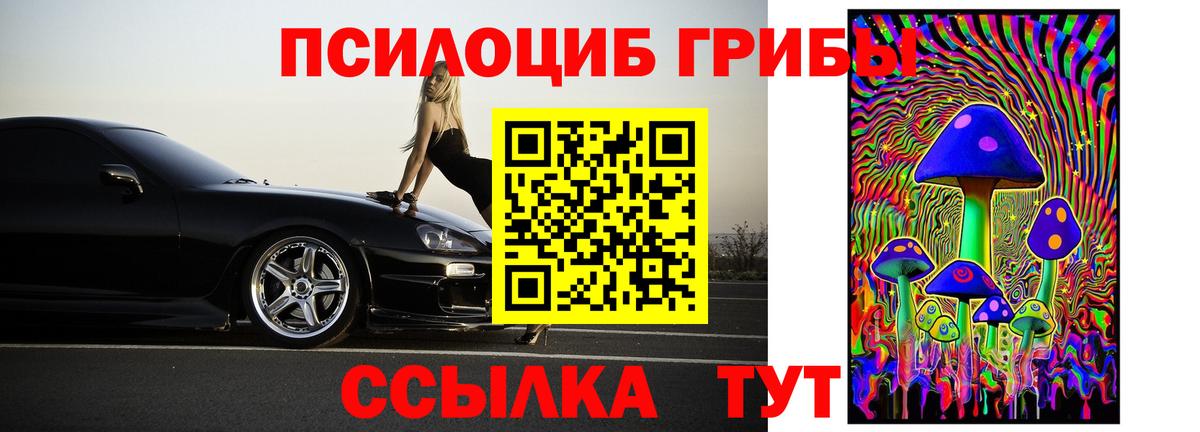 Сыктывкар  Галлюциногенные грибы прущие грибы  Вход с VPN 